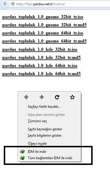 Internet Download Manager V6 36 Build 7 Turkce
