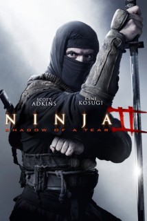 Ninja II Gözyaşının Gölgesi - 2013 BRRip x264 - Türkçe Dublaj Tek Link indir