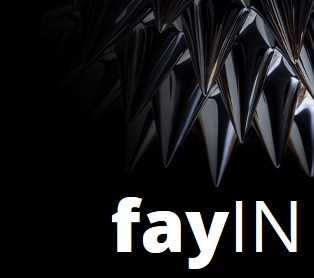 FayTec FayIN v2.1.3.1