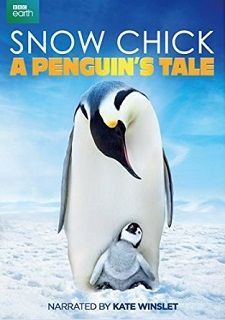 Snow Chick A Penguins Tale - 2015 BDRip x264 - Türkçe Altyazılı Tek Link indir