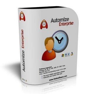 HiTek Software Automize Enterprise v11.16