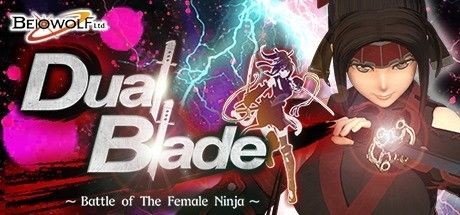 Dual Blade Battle of The Female Ninja - PLAZA - Tek Link indir