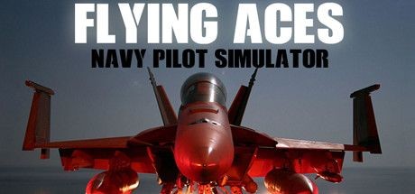 Flying Aces Navy Pilot Simulator - Tek Link indir