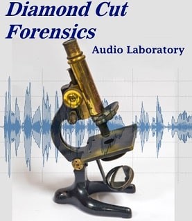Diamond Cut Forensics10 Audio Laboratory v10.75.1