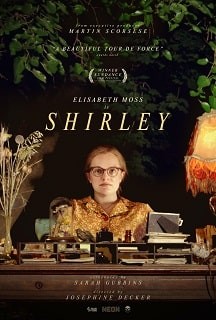 Shirley 2020 - 1080p 720p 480p - Türkçe Dublaj Tek Link indir